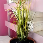 Apartamento Katerina's By 
