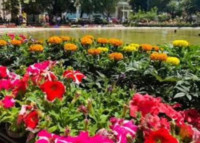 Katerina's By 