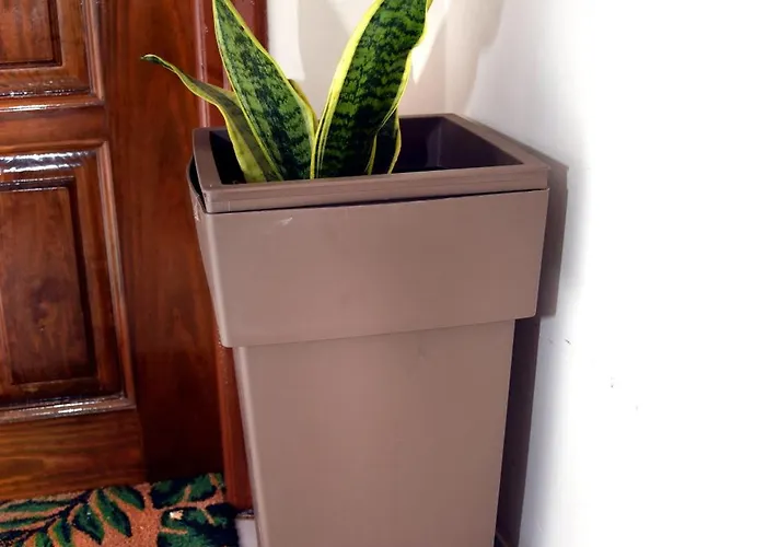 公寓 Katerina's By 