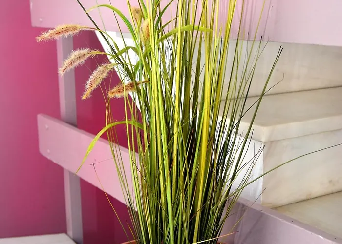 公寓 Katerina's By 